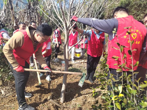 格式工廠龍巖分公�?黃曉�?植樹現(xiàn)場(chǎng)1.jpg