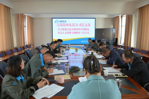 格式工廠青海海西東諾化工有限公司召開學(xué)習(xí)貫徹習(xí)近平新時代中國特色社會主義思想主題教育工作會議現(xiàn)場.jpg
