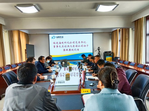 格式工廠2.吳彩洪對青海東諾公司領導班子進行集體廉政談話.jpg