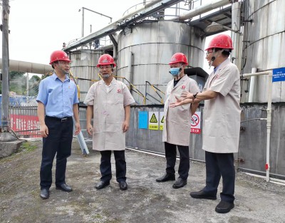 格式工廠省機電控股公司黨委副書記、總經(jīng)理董飛龍，黨委委員、副總經(jīng)理吳大文在永安雙華公�?.jpg